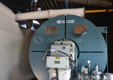 8.2 MW YYW Gas-Fired Thermal Oil Heater For Food Industry