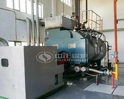 WNS Gas Steam Boiler Operation