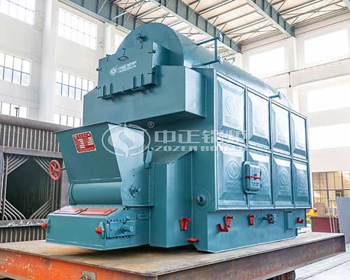 Biomass Chain Grate Boiler Manufacturer