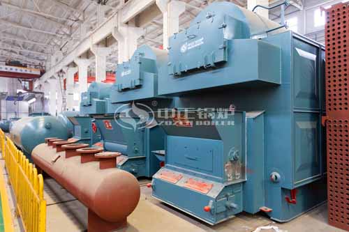 Coal Fired Chain Grate Boiler for Sale