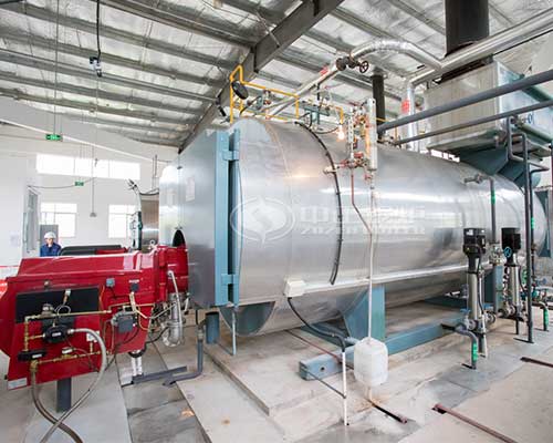 Gas Fired Hot Water Boilers For Sale