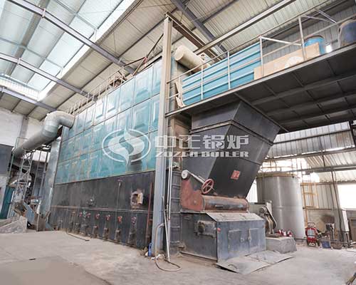 30 Ton Biomass Fired Thermal Oil Boiler Manufacturer