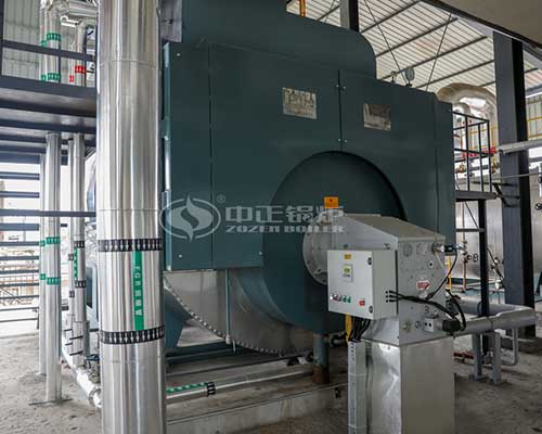 Gas Fired Thermal Oil Boilers For Sale