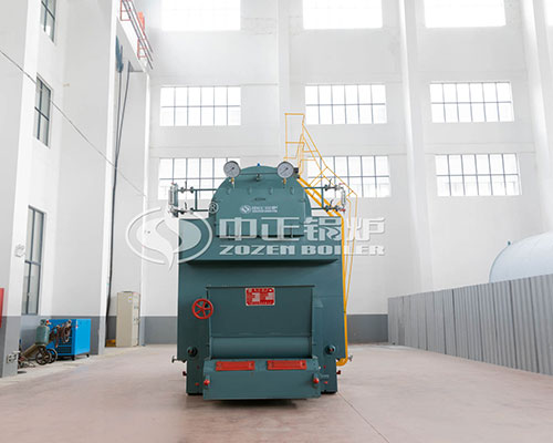 Biogas Boiler vs Biomass Fired Boiler