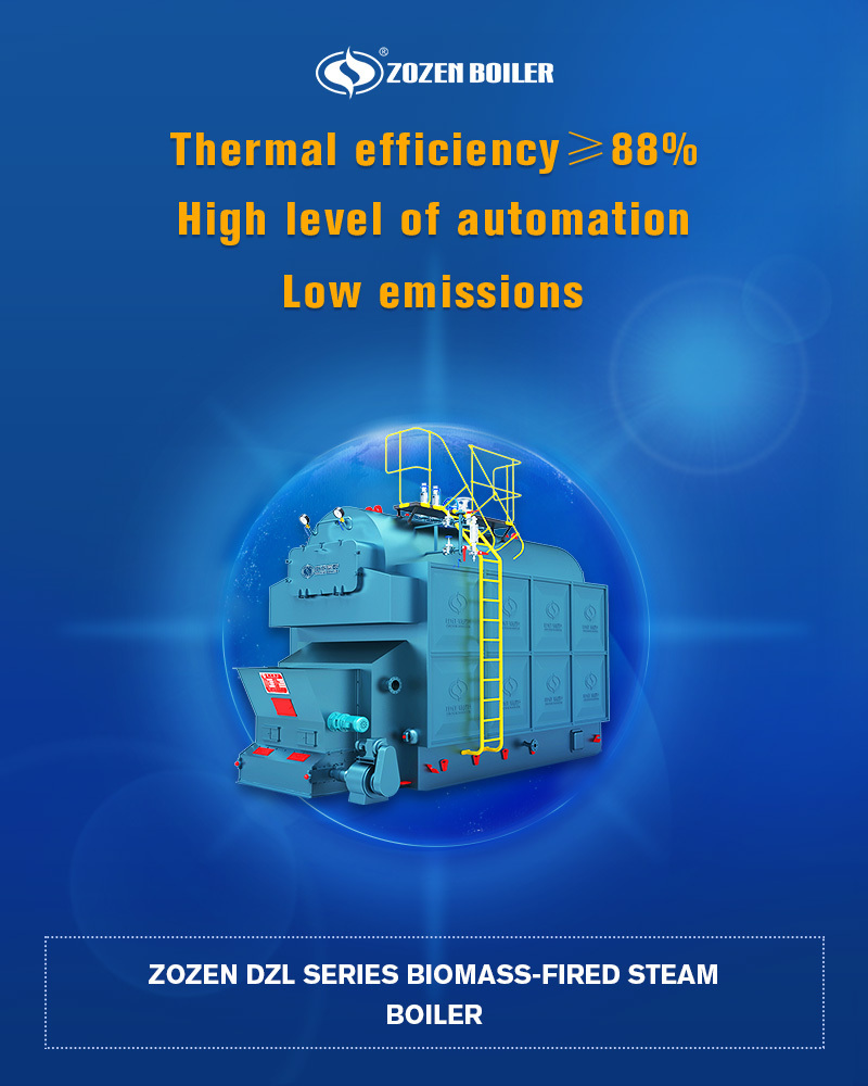 DZL Series Biomass Fired Steam Boiler