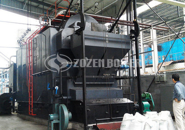 Biomass-Fired Steam Boilers For Pharmaceutical Industry