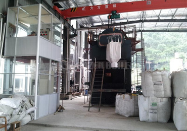 DZL Biomass-Fired Steam Boiler For Textile Factory