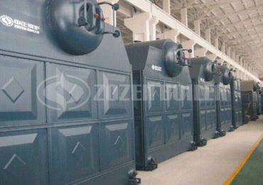 DZL Biomass Fired Boiler For Heating