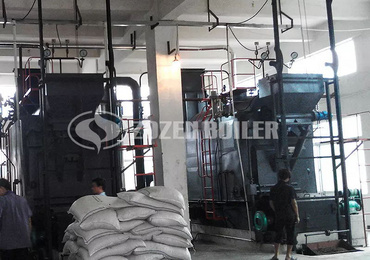 DZL Biomass-Fired Steam Boiler For Feed Factory