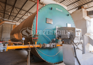 YYL Thermal Oil Heater For Rubber Plant