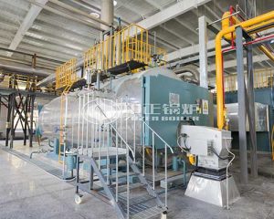 WNS Gas Steam Boiler Operation