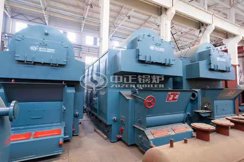 Coal Fired Chain Grate Boiler for Sale