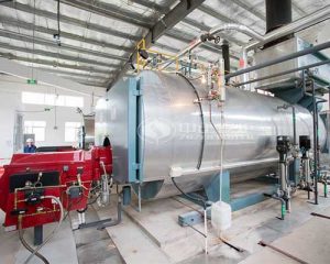 WNS Series Gas Steam Boiler Price