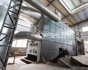 30 Ton Biomass Fired Thermal Oil Boiler Manufacturer