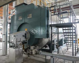 25 Ton Gas-fired Thermal Oil Boiler
