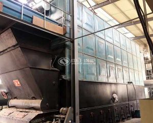 Coal Fired Thermal Oil Boiler Manufacturer