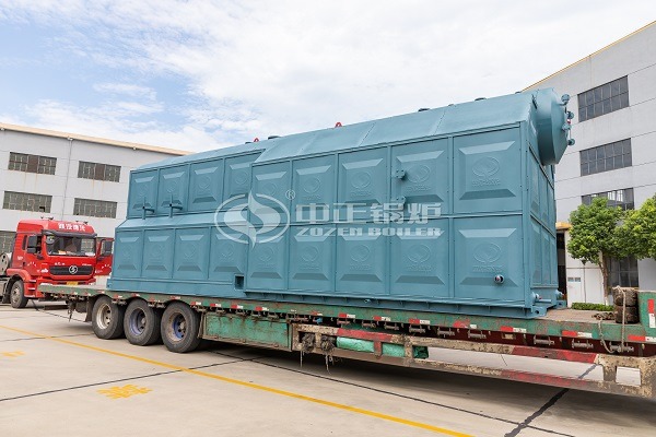 25 Tons Coal-Fired Chain Grate Steam Boilers