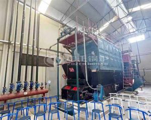 6-Ton Coal-Fired Steam Boiler Project